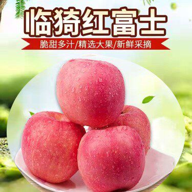 山西临猗红富士苹果冰糖心运城霜降后采摘大果超甜酥脆正宗属于什么档次？