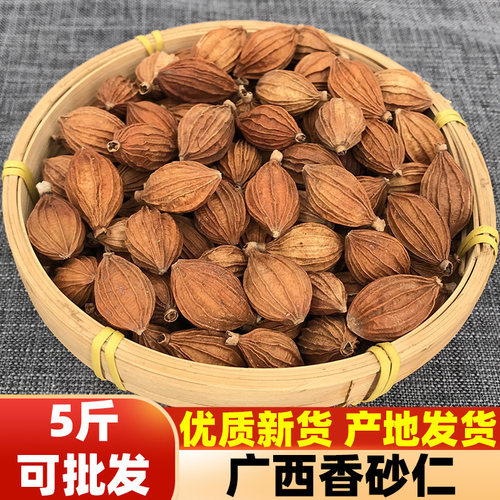 优质新货香砂仁川砂仁金沙仁