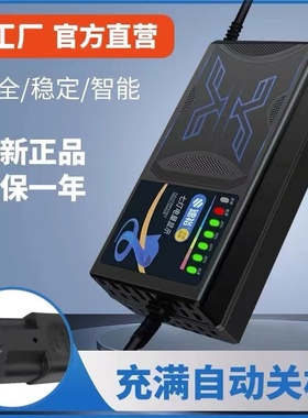 电动车电瓶充电器36伏48V12AH60V72V80v20ah安宗申金彭鹏宝岛三轮