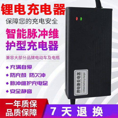 锂电池电摩动车用充瓶电器2