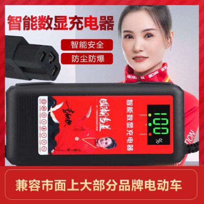 迈特数显智能断电动电瓶车充电器