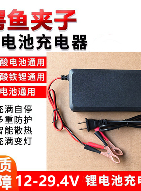 磷酸锂电池充电器29.4V12V12.6V16.8V5A8A10A20a鳄鱼夹子头4串