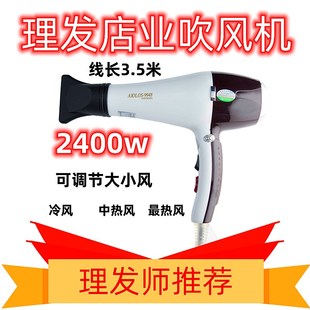 国宏风神9948吹风机2400W大功率发廊家用负离子不伤发专业造型