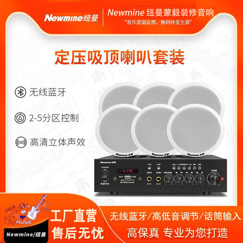 纽曼装修会议室蓝牙吸顶分区音响