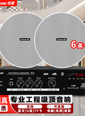纽曼吸吊顶音响套装蓝牙家用商用会议店铺背景音箱R/19/R106/R20