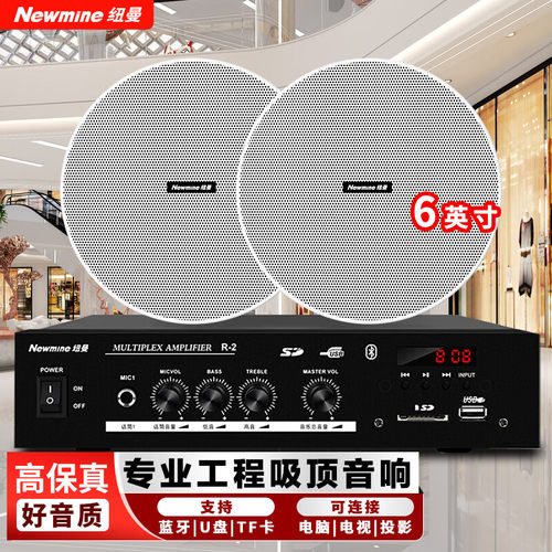纽曼商用店铺吸顶音响