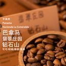 巴拿马翡翠庄园钻石山水洗 绿标瑰夏手冲冷萃中度烘焙咖啡豆