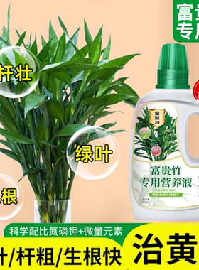 富贵竹营养液专用肥料专治黄叶生根转运竹龙竹观音竹水培专用肥料