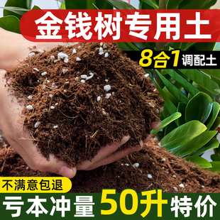 金钱树专用土营养土家用盆栽腐殖腐叶土盆栽通用型有机泥炭土50升