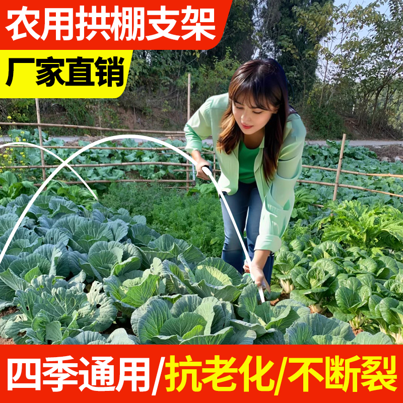 大棚骨架玻璃纤维小拱棚支架搭棚家用蔬菜塑料温室大棚拱杆玻璃钢