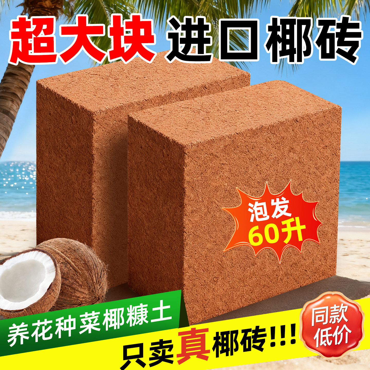 椰砖大块营养土种菜专用椰糠养花通用型土壤种植土脱盐粗耶砖进口