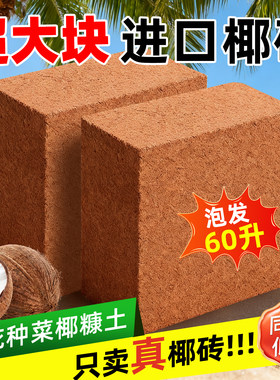 椰砖大块营养土种菜专用椰糠养花通用型土壤种植土脱盐粗耶砖进口