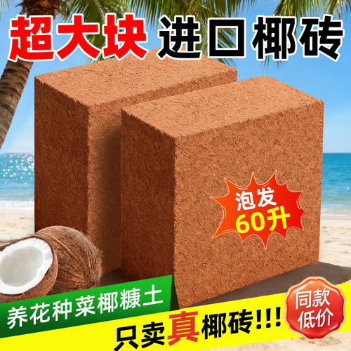 椰砖大块营养土种菜专用椰糠养花通用型土壤种植土脱盐粗耶砖进口