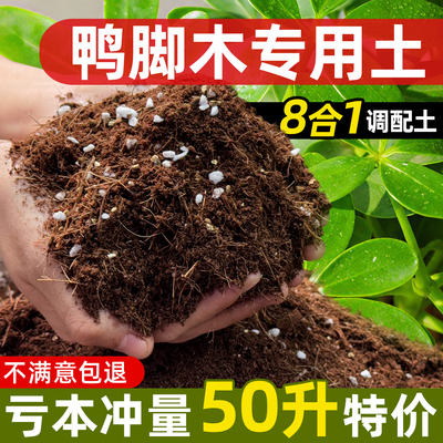鸭脚木专用土营养土家用盆栽腐殖腐叶土盆栽通用型有机泥炭土50升