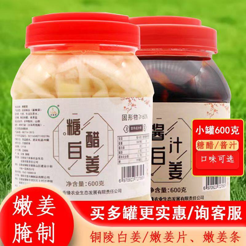 铜陵特产嫩姜芽白姜糖醋生姜头酸甜开胃酱汁咸姜片腌制下饭菜