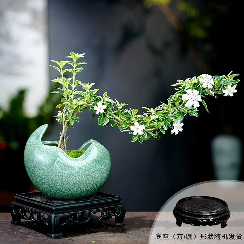 六月雪办公桌客厅书房