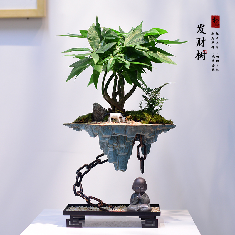 发财树盆栽招财树室内寓意送礼艺术悬浮铁链盆景好养办公客厅植物