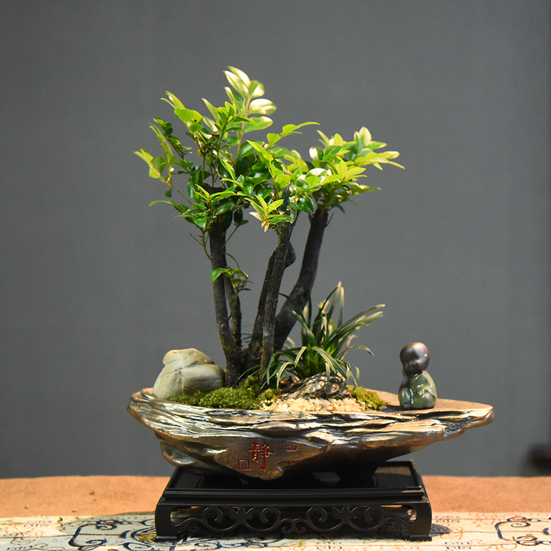 小叶紫檀客厅茶几四季常青