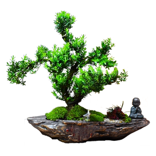 黄杨盆景造型树老桩室内中式桌面装饰绿植盆栽观赏盆栽美观送礼物