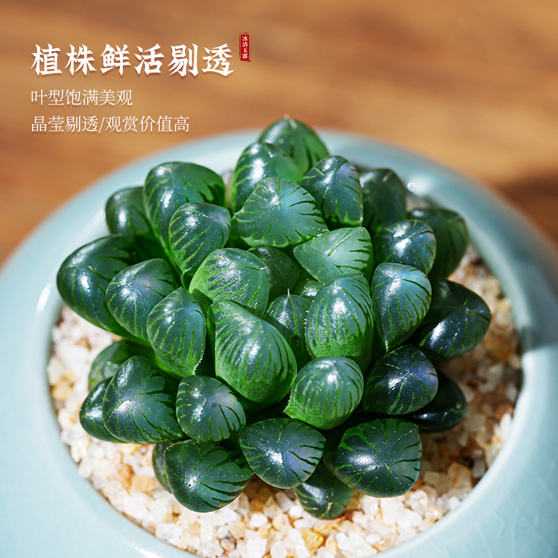 书房客厅办公室茶桌玉露