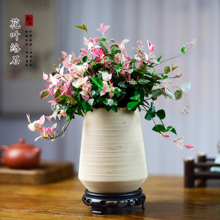 花叶络石盆栽五彩花卉彩络石吊兰办公阳台爬藤绿植植物盆景好养活