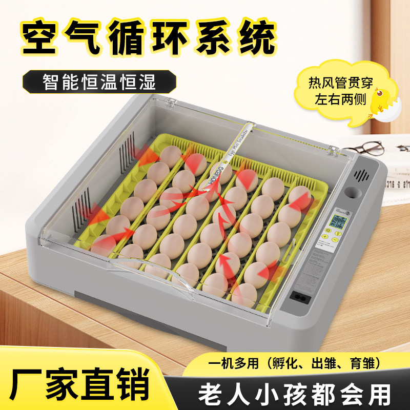 HHD新款孵化器温湿双显家用自动控温智能孵蛋器鹦鹉鸡鸭鸟类鹅蛋,五金/工具,电热工具,淘宝优惠券,粉丝福利购,淘宝优惠卷