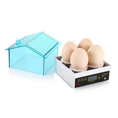 HHD 迷你孵化器鸡鸭乌龟鸟蛋小型孵蛋器家用型自动恒温孵化 4枚