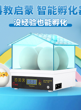HHD 迷你孵化器鸡鸭乌龟鸟蛋小型孵蛋器家用型自动恒温孵化 4枚