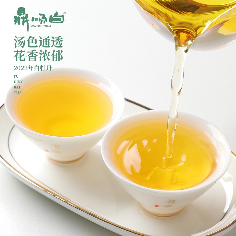 磻溪白马岗福鼎白茶2022明前头采正宗高山首日芽新茶叶400g