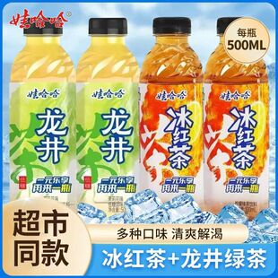 娃哈哈冰红茶饮料整箱500ml 年货 9瓶绿茶红茶清凉饮料夏季