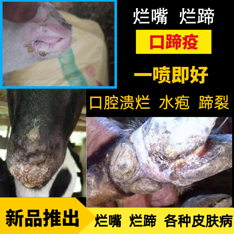 猪牛羊口蹄疫专用药口疮烂嘴烂蹄子5号病兽用血清腐蹄一喷灵结节-封面