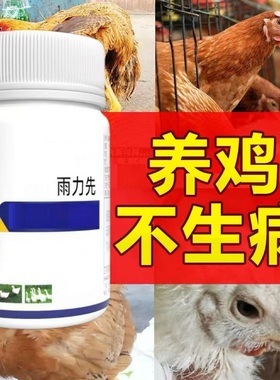 鸡病全治养鸡专用鸡缩头呼噜没精神鸡鸭鹅呼吸道感染张口呼吸咳