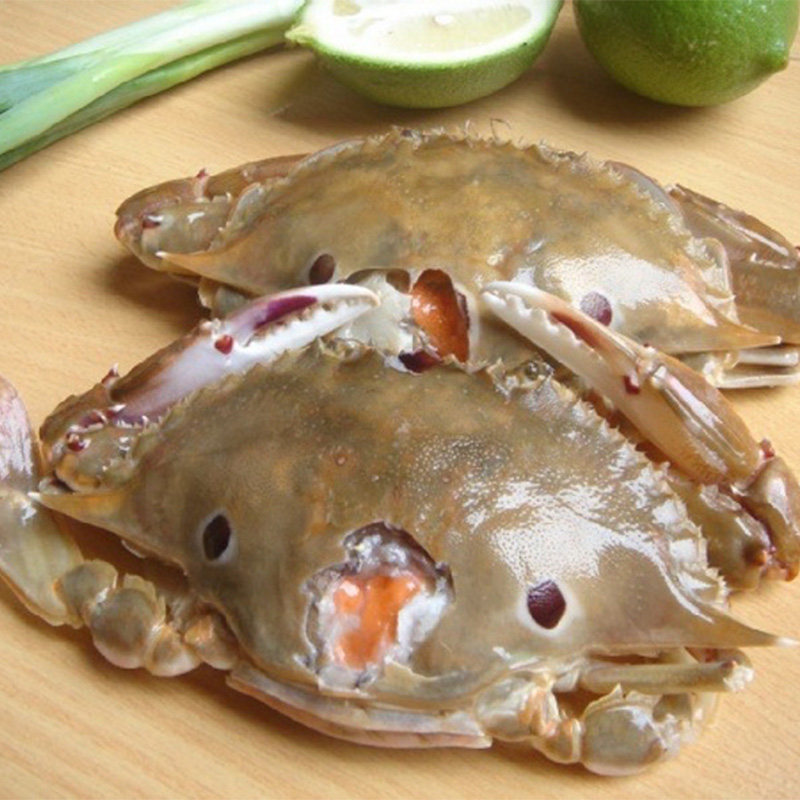 活冻三眼蟹三点梭子蟹新鲜冷冻大螃蟹冰鲜包邮