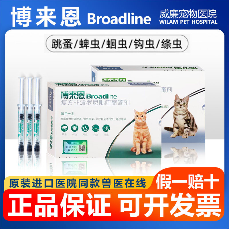 博来恩跳蚤体内体外同驱猫咪滴剂图片
