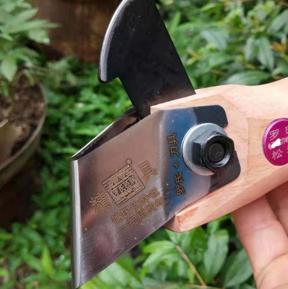 罗氏进口钢短叶采脂刀松油刀工具虫脂刀割脂刀松脂刀松香刀割油刀