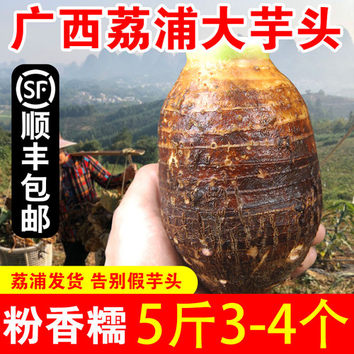 广西特产正宗荔浦芋头一级特大