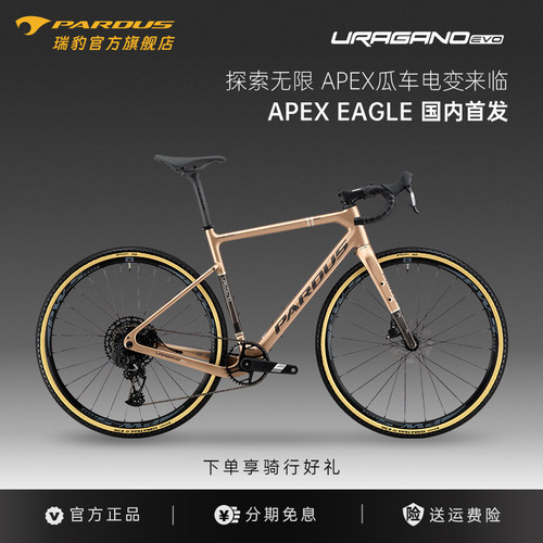 瑞豹gravel砾石公路车12速电变