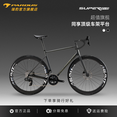 瑞豹耐力碳纤维电变公路车