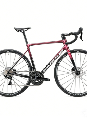 瑞豹ROBIN RS DISC-105 碳纤维舒适耐力竞赛公路自行车
