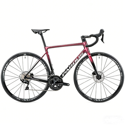 瑞豹ROBIN RS DISC-105 碳纤维舒适耐力竞赛公路自行车