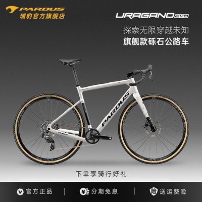 瑞豹砾石公路车电变碳纤维瓜车