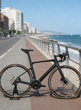 瑞豹SPARK DISC-L TWOO R9 气动进阶破风公路自行车22款