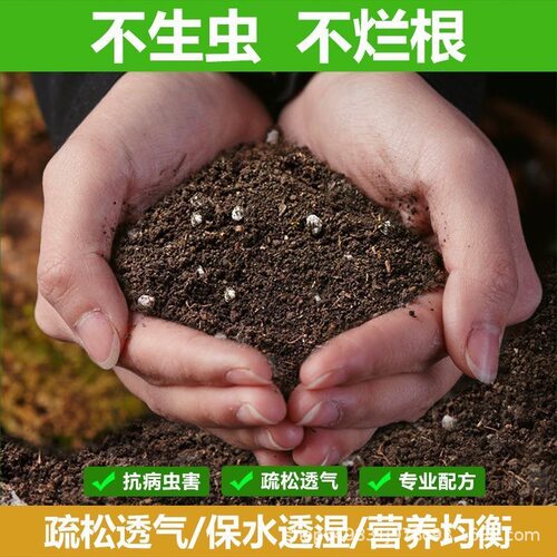 工厂直营有机通用营养土2斤