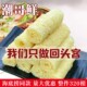 黄金卷响铃卷32袋装 油炸腐竹豆皮卷腐皮海底捞火锅螺蛳粉商用食材