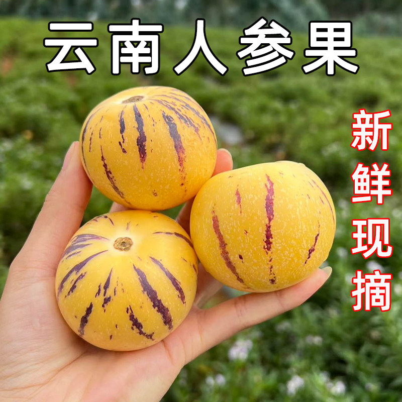 新鲜人参果云南石林人叁果圆果人生果娃娃果七彩黄肉水果现摘整箱