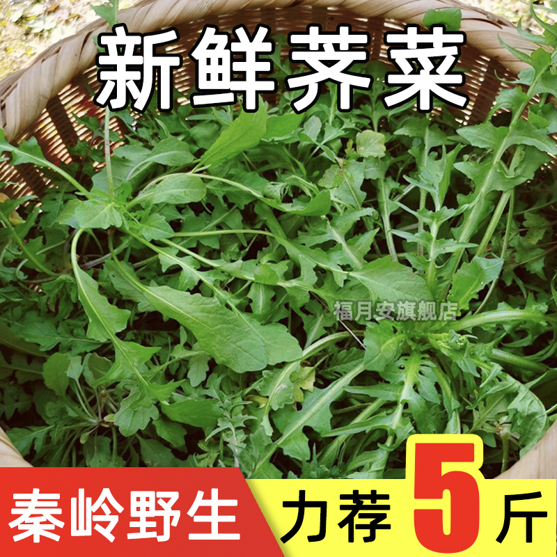 新鲜现挖秦岭野生荠菜
