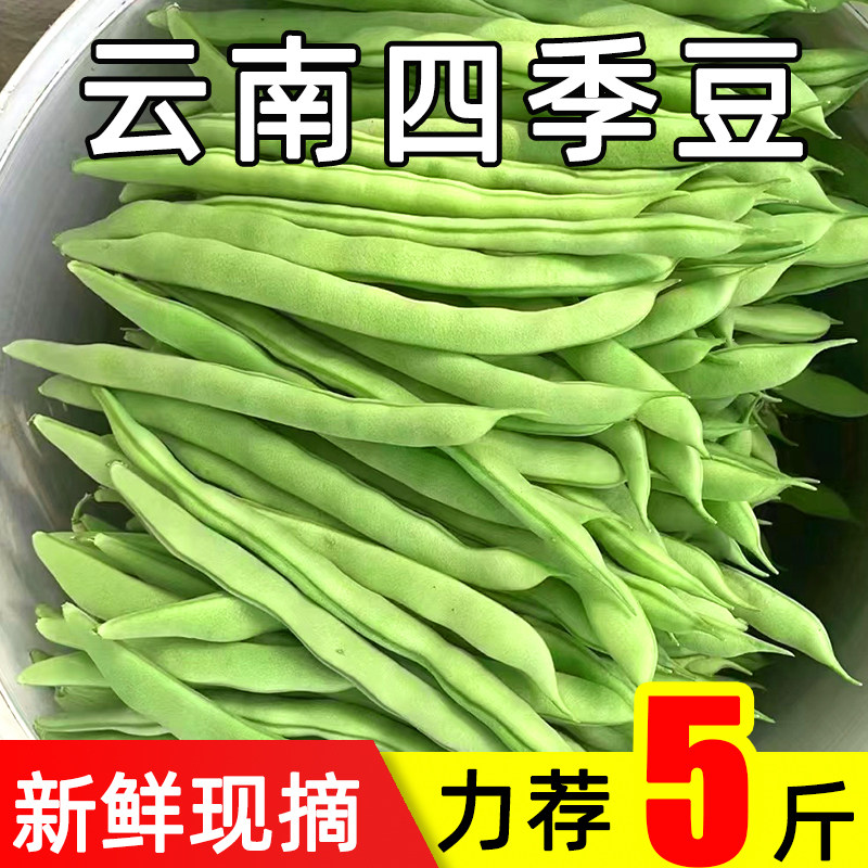 云南高山四季豆新鲜现摘当季长豆角农家自种应季蔬菜芸豆青扁豆角