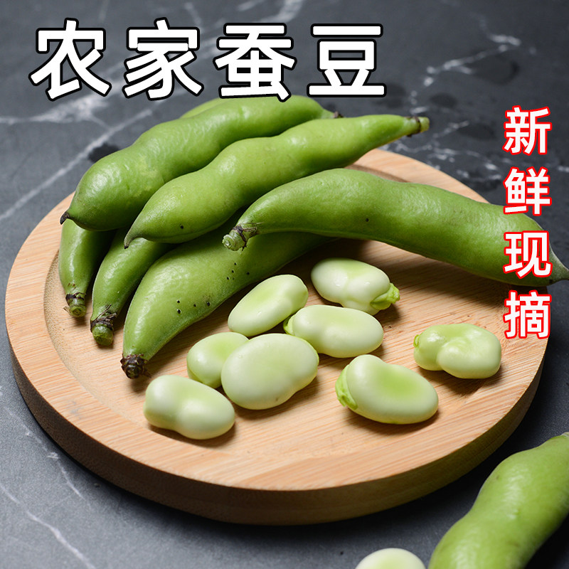 蚕豆胡豆新鲜现摘带壳嫩生罗汉豆兰花青豆荚整箱当季蔬菜豆角包邮