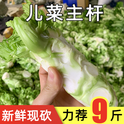 新鲜四川儿菜主杆现砍现发