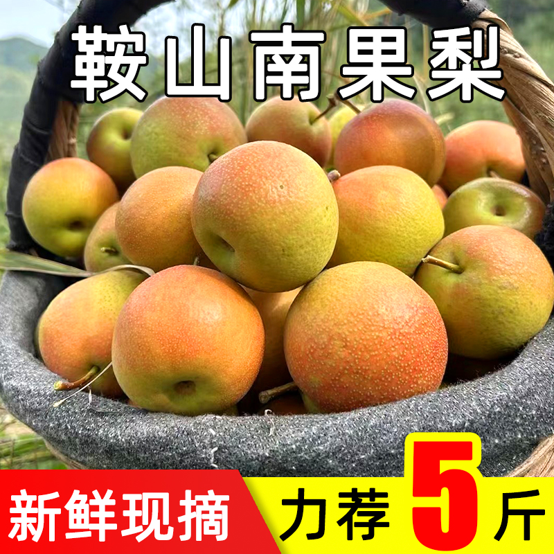 鞍山南果梨新鲜现摘产地直发